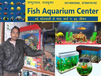 Fish Aquarium Centre